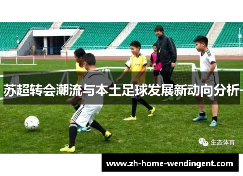 苏超转会潮流与本土足球发展新动向分析
